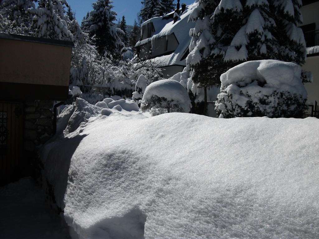 Willa Sezamek Blisko Szlakow I Centrum Zakopane Extérieur photo